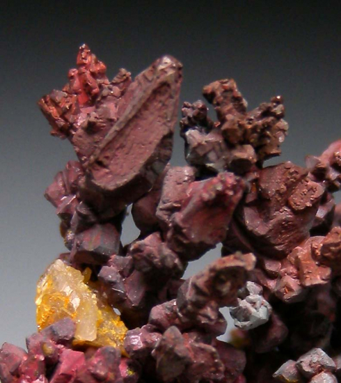 Copper from Bisbee, Cochise Co., Arizona, USA [db_pics/pics/r256c.jpg]