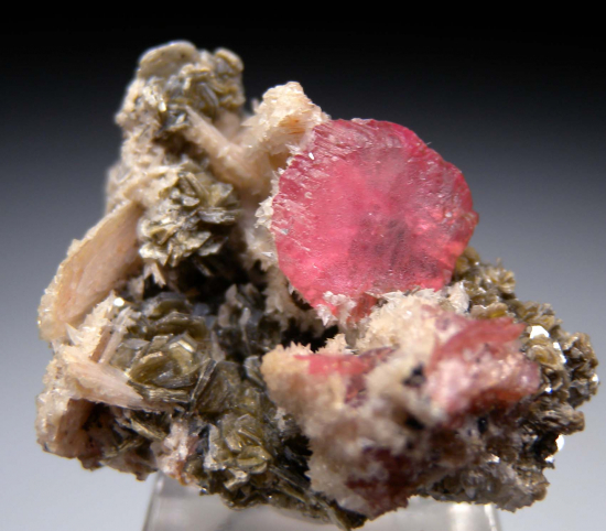 Rhodochrosite with Bertrandite from Kounrad Massif, Karaganda Region, Kazakhstan [db_pics/pics/r283a.jpg]