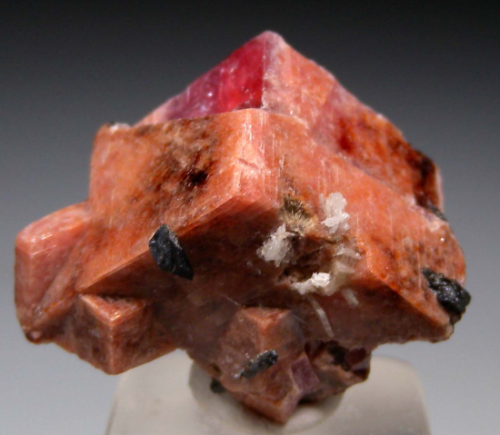 Rhodochrosite from Mont St. Hilaire, Quebec, Canada [db_pics/pics/r285a.jpg]