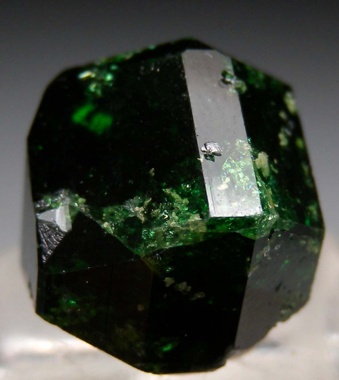 Chrome Dravite from Landanai, Tanzania [db_pics/pics/r291b.jpg]