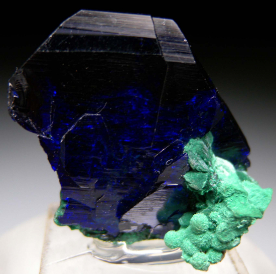 Azurite (transparent!) from Milpillas Mine, Cuitaca, Sonora, Mexico [db_pics/pics/r312c.jpg]