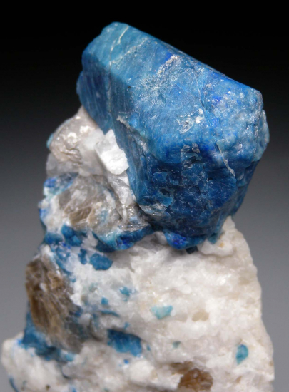 Lazurite ps. Phlogopite from Ladjuar Medam, Sar-e-Sang, Badakhshan, Afghanistan [db_pics/pics/r336d.jpg]