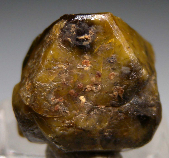 Microlite from Rutherford Mine, Amelia (Amelia Court House), Amelia County, Virginia, USA [db_pics/pics/r338c.jpg]