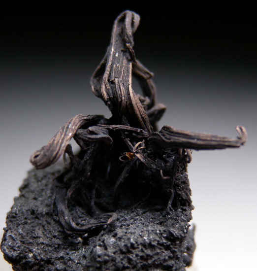 Silver on Acanthite from Imiter mine, Draa-Tafilalet Region, Morocco [db_pics/pics/r354d.jpg]