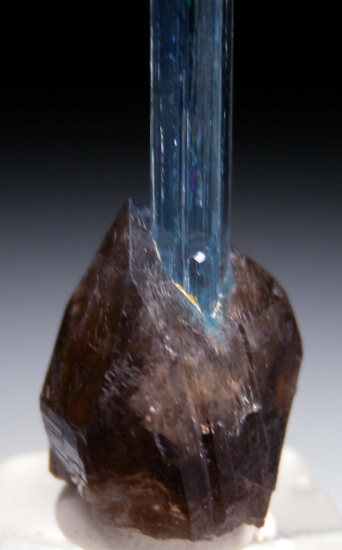 Aquamarine on Smokey Quartz from Quy Chau District, Nghe An Province,Vietnam [db_pics/pics/r379c.jpg]