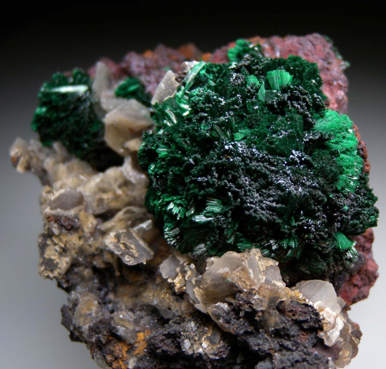 Malachite from Andrassy Mine, Rudabanya, Hungary [db_pics/pics/r388c.jpg]