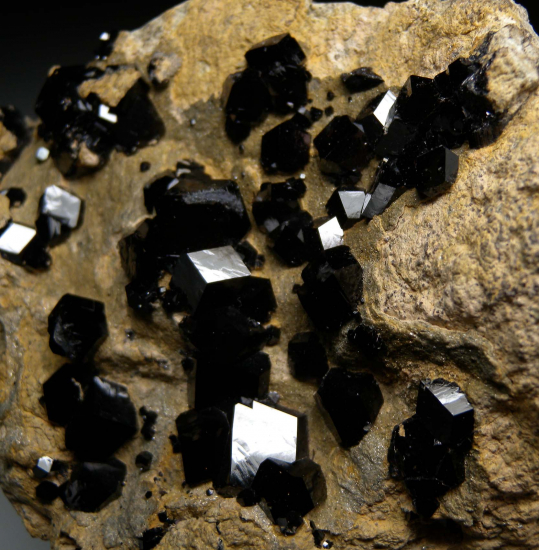 Andardite var. Melanite from San Benito Co., California, USA [db_pics/pics/r406c.jpg]