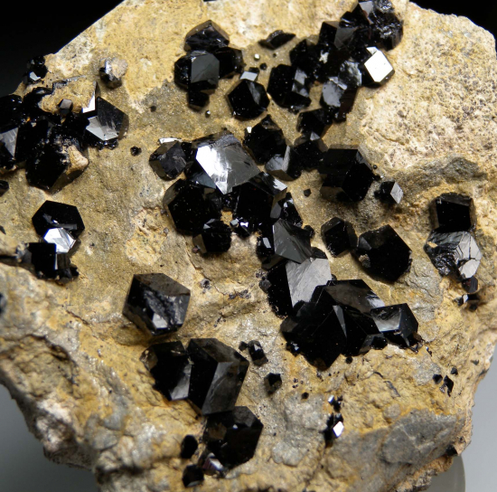 Andardite var. Melanite from San Benito Co., California, USA [db_pics/pics/r406d.jpg]