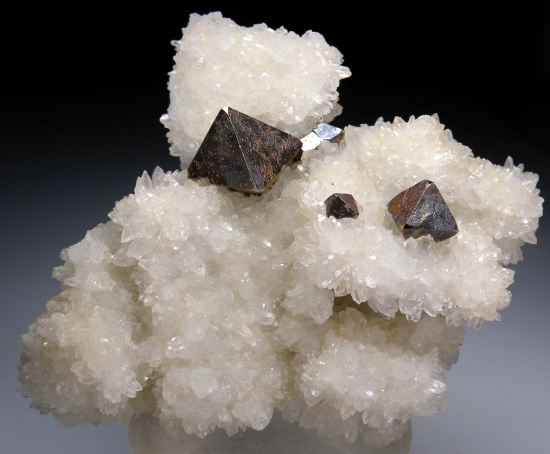 Pyrite on Quartz casts after Fluorite from Quiruvilca Mine, La Libertad, Peru [db_pics/pics/r434a.jpg]