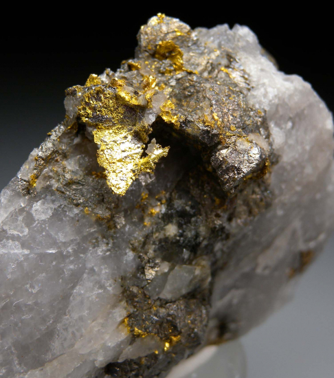 Gold with Arsenopyrite from Homestake Mine, Lead, Lawrence Co., South Dakota, USA [db_pics/pics/r436c.jpg]