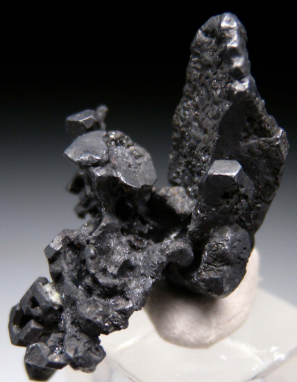 Acanthite from Reyes Mine, Guanajuato, Mexico [db_pics/pics/r459c.jpg]