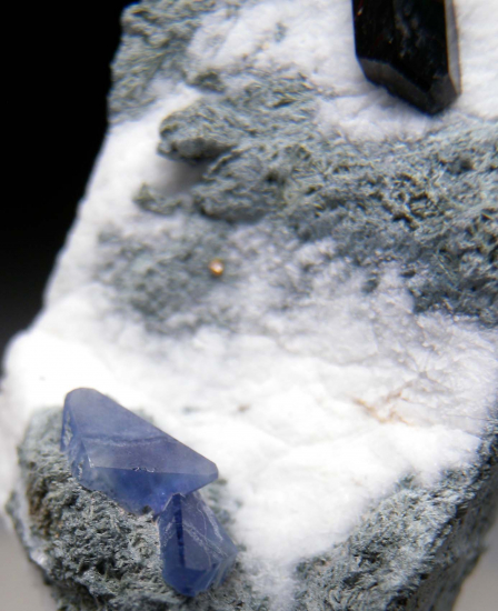 Benitoite, Neptunite, Joaquinite from Gem Mine, San Benito Co., California, USA [db_pics/pics/r464b.jpg]
