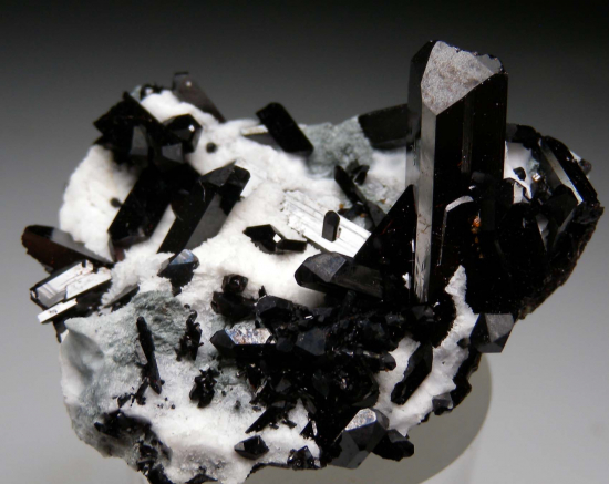 Neptunite from Gem Mine, San Benito Co., California, USA [db_pics/pics/r465a.jpg]