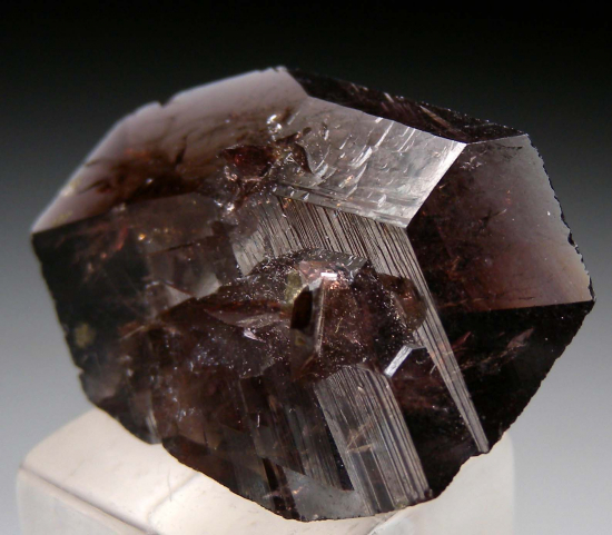 Axinite from Puiva Mountain, Saranpaul, Berezovo district, Russia [db_pics/pics/r466c.jpg]