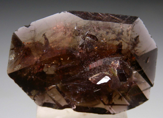 Axinite from Puiva Mountain, Saranpaul, Berezovo district, Russia [db_pics/pics/r466d.jpg]