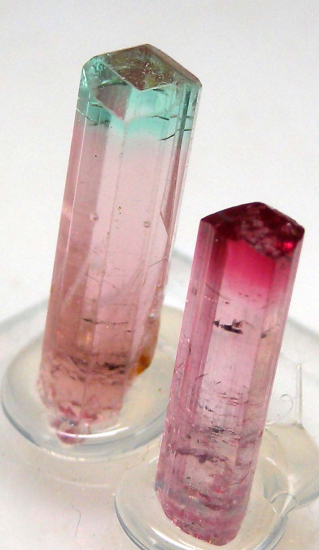Tourmaline (2 crystals) from Pederniera Mine, Minas Gerais, Brazil [db_pics/pics/r498b.jpg]