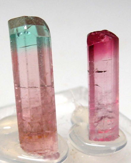 Tourmaline (2 crystals) from Pederniera Mine, Minas Gerais, Brazil [db_pics/pics/r498c.jpg]