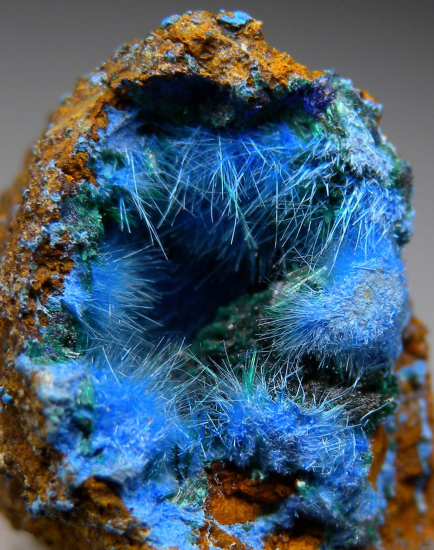 Cyanotrichite from Grandview Mine, Coconino Co., Arizona, USA [db_pics/pics/r531c.jpg]