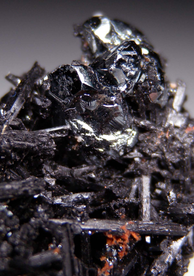 Hematite on Gaudefroyite from N'Chwanning Mine, Kuruman, South Africa [db_pics/pics/r549d.jpg]