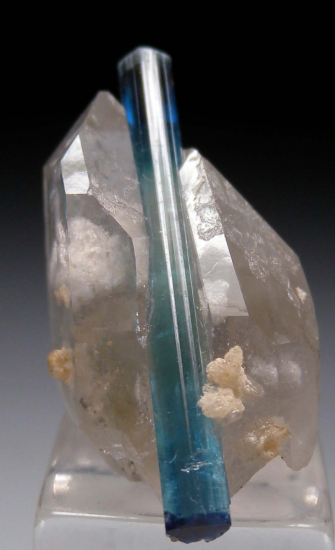 Indicolite on Quartz from Kunar Prov., Afghanistan [db_pics/pics/r582d.jpg]