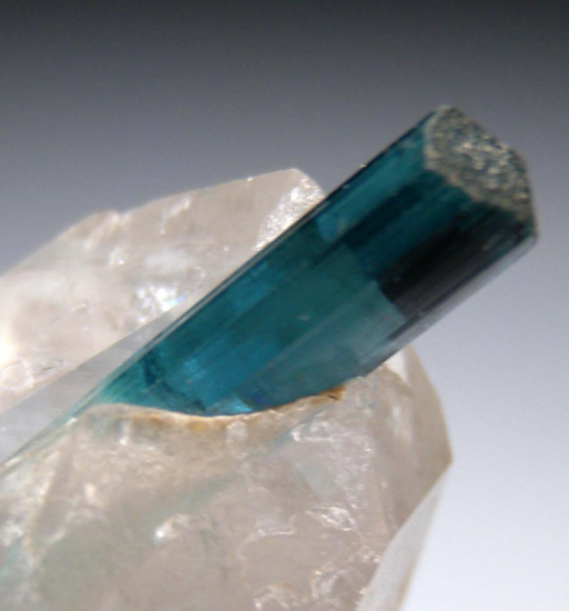 Indicolite on Quartz from Kunar Prov., Afghanistan [db_pics/pics/r582e.jpg]