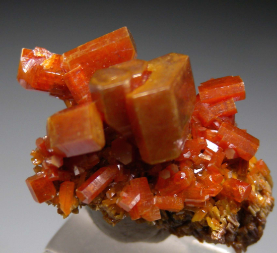 Vanadinite from Apex Mine, San Carlos, Chihuahua, Mexico [db_pics/pics/r593b.jpg]