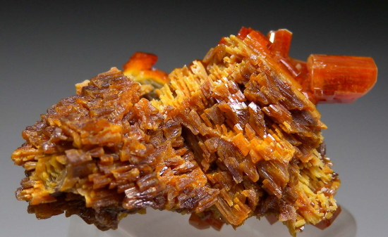 Vanadinite from Apex Mine, San Carlos, Chihuahua, Mexico [db_pics/pics/r593d.jpg]