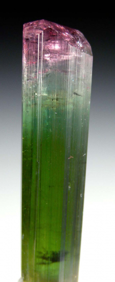 Tourmaline from Cruzeiro Mine, Sao Jose da Safira, Minas Gerais, Brazil [db_pics/pics/r599b.jpg]