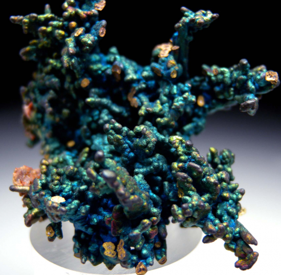 Chalcopyrite over Chalcocite from Daye Mine, Hubie Prov., China [db_pics/pics/r600c.jpg]