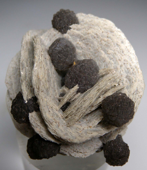 Calcite on Calcite (?) from Herja Mine, Baia Mare, Maramures County, Romania [db_pics/pics/r606a.jpg]