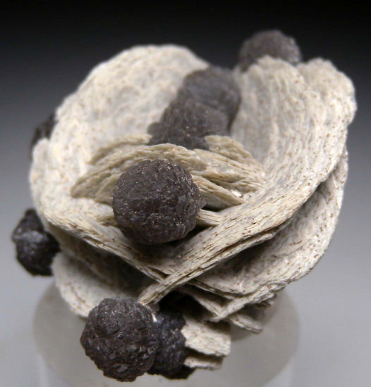 Calcite on Calcite (?) from Herja Mine, Baia Mare, Maramures County, Romania [db_pics/pics/r606d.jpg]