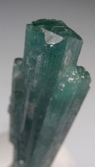 Tourmaline from Batalha Mine, Salgadinho, Paraiba, Brazil [db_pics/pics/r619b.jpg]