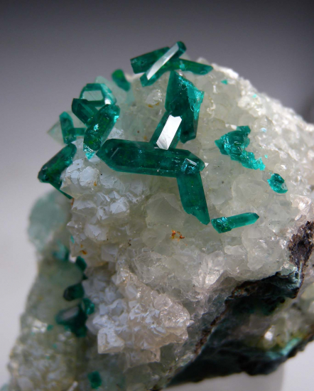 Dioptase on Quartz from Sanda Mine, Mindouli District, Pool Department, Rep. of Congo [db_pics/pics/r622b.jpg]