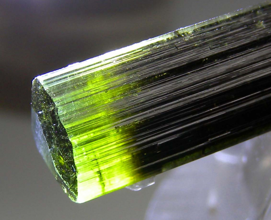 Tourmaline from Stak Nala, Skardu, Pakistan [db_pics/pics/r625c.jpg]
