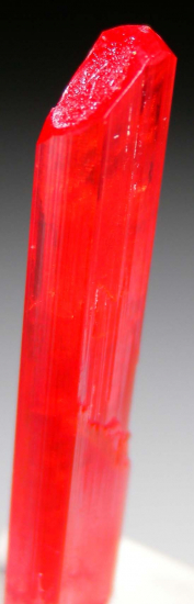 Crocoite from Red Lead Mine, Zeehan mining district, Tasmania, Australia [db_pics/pics/r669c.jpg]