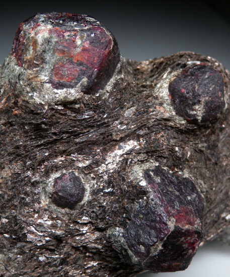 Garnet in Schist from Nepal [db_pics/pics/r671c.jpg]