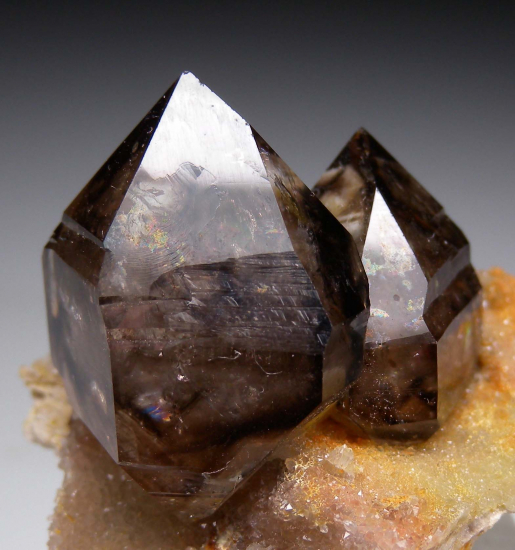 Smokey Quartz from Anderson's Gully, Moorella, Victoria, Australia [db_pics/pics/r679b.jpg]