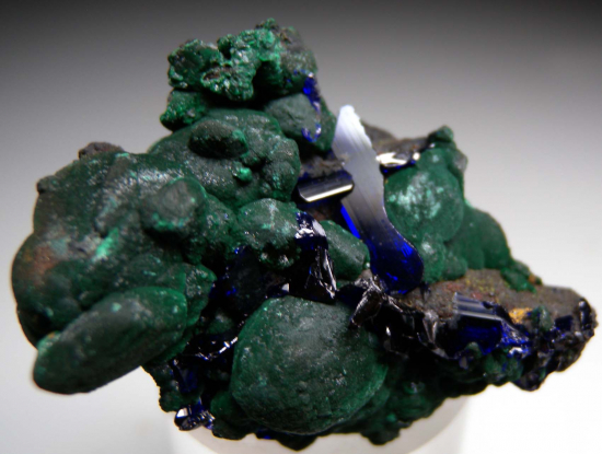 Azurite on Malachite from Tsumeb, Namibia [db_pics/pics/r684a.jpg]