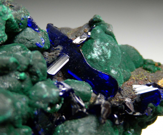 Azurite on Malachite from Tsumeb, Namibia [db_pics/pics/r684c.jpg]
