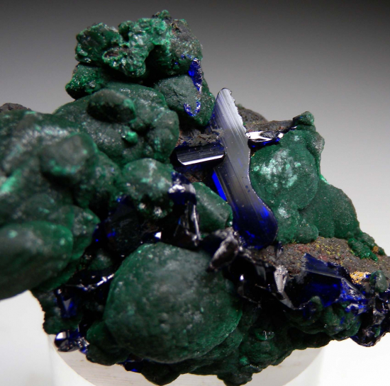 Azurite on Malachite from Tsumeb, Namibia [db_pics/pics/r684d.jpg]