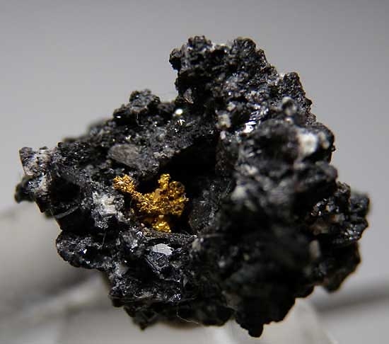 Gold on Ferberite from Julcani Region, Peru [db_pics/pics/sa449b.jpg]