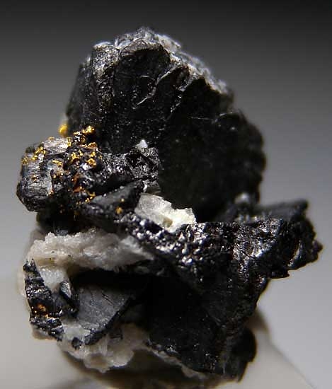 Gold on Ferberite from Julcani Region, Peru [db_pics/pics/sa449c.jpg]