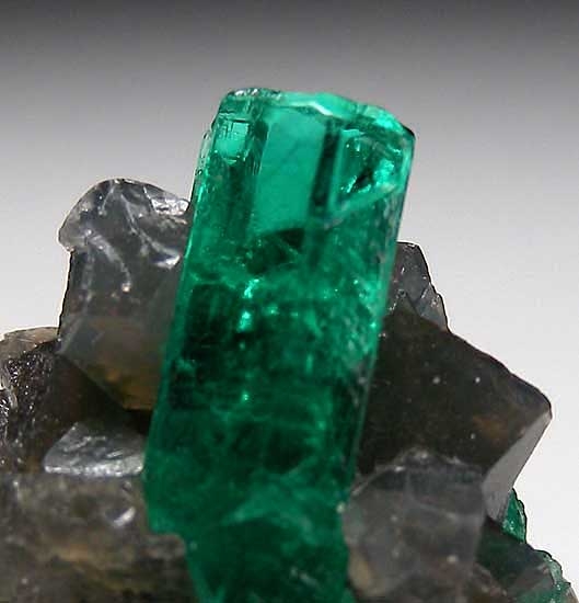 Emerald with Calcite from Muzo Mine, Boyaca Dept., Colombia [db_pics/pics/sa459d.jpg]