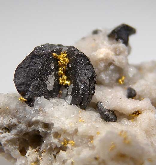 Gold on Ferberite from Julcani Region, Peru [db_pics/pics/sa548b.jpg]