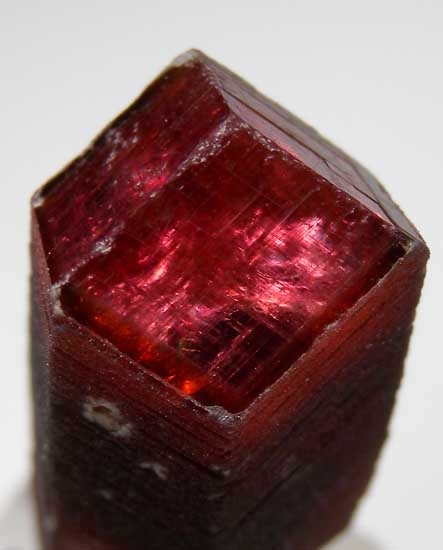 Rhodochrosite from Uchucchacua Mine, Oyon Prov., Peru [db_pics/pics/sa559d.jpg]