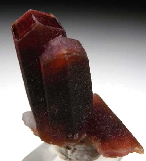Rhodochrosite from Uchucchacua Mine, Oyon Prov., Peru [db_pics/pics/sa560b.jpg]