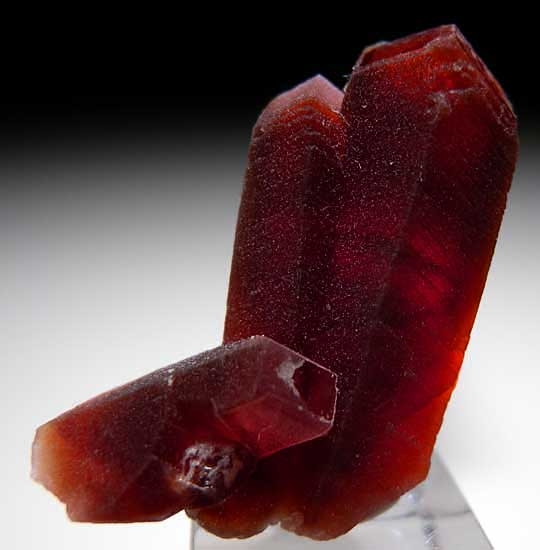Rhodochrosite from Uchucchacua Mine, Oyon Prov., Peru [db_pics/pics/sa560c.jpg]