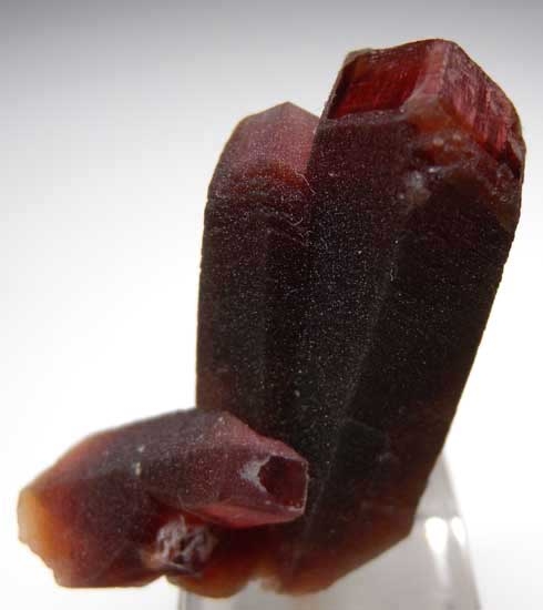 Rhodochrosite from Uchucchacua Mine, Oyon Prov., Peru [db_pics/pics/sa560d.jpg]