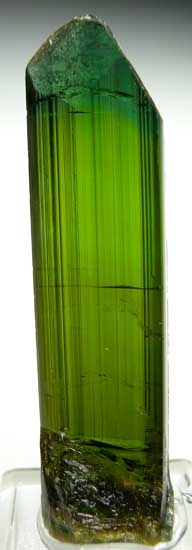 Elbaite from Lorena Mine, Minas Gerais, Brazil [db_pics/pics/sa580a.jpg]