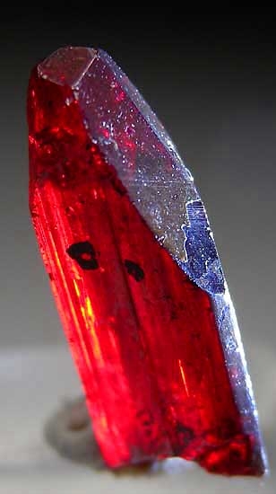 Proustite from Dolores Mine, Chanarcillo, Chile [db_pics/pics/sa584c.jpg]